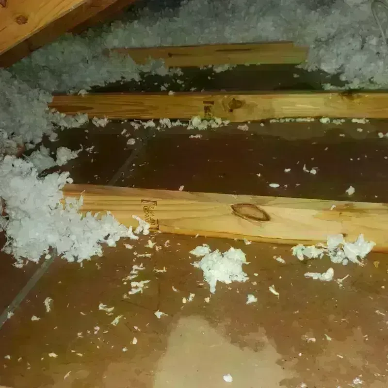 Attic Water Damage in Blue Lake, CA