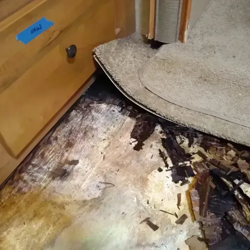 Best Wood Floor Water Damage Service in Blue Lake, CA